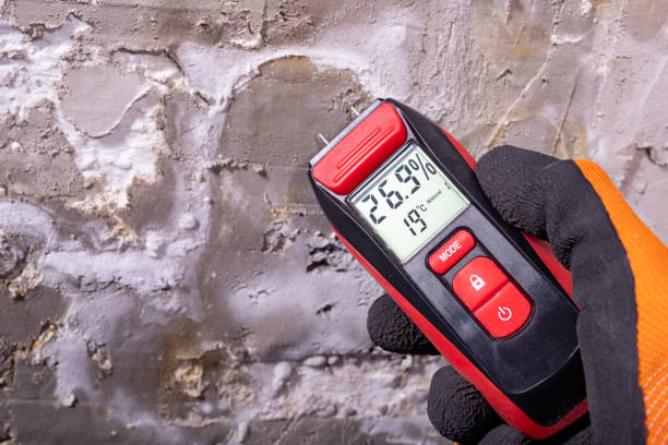 Best Mold Removal Company Near Me  in Minerva Park, OH